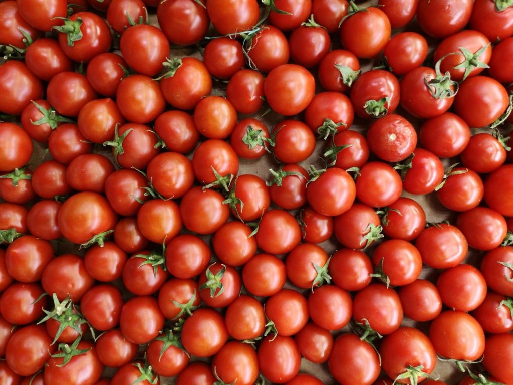 red tomatoes on board